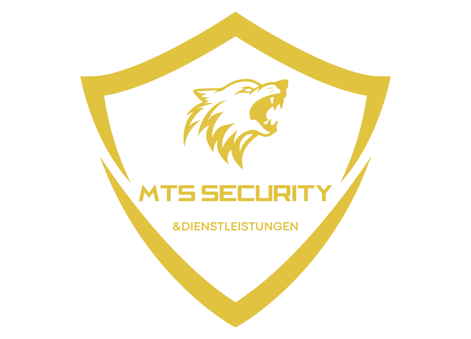 MTS Security Logo